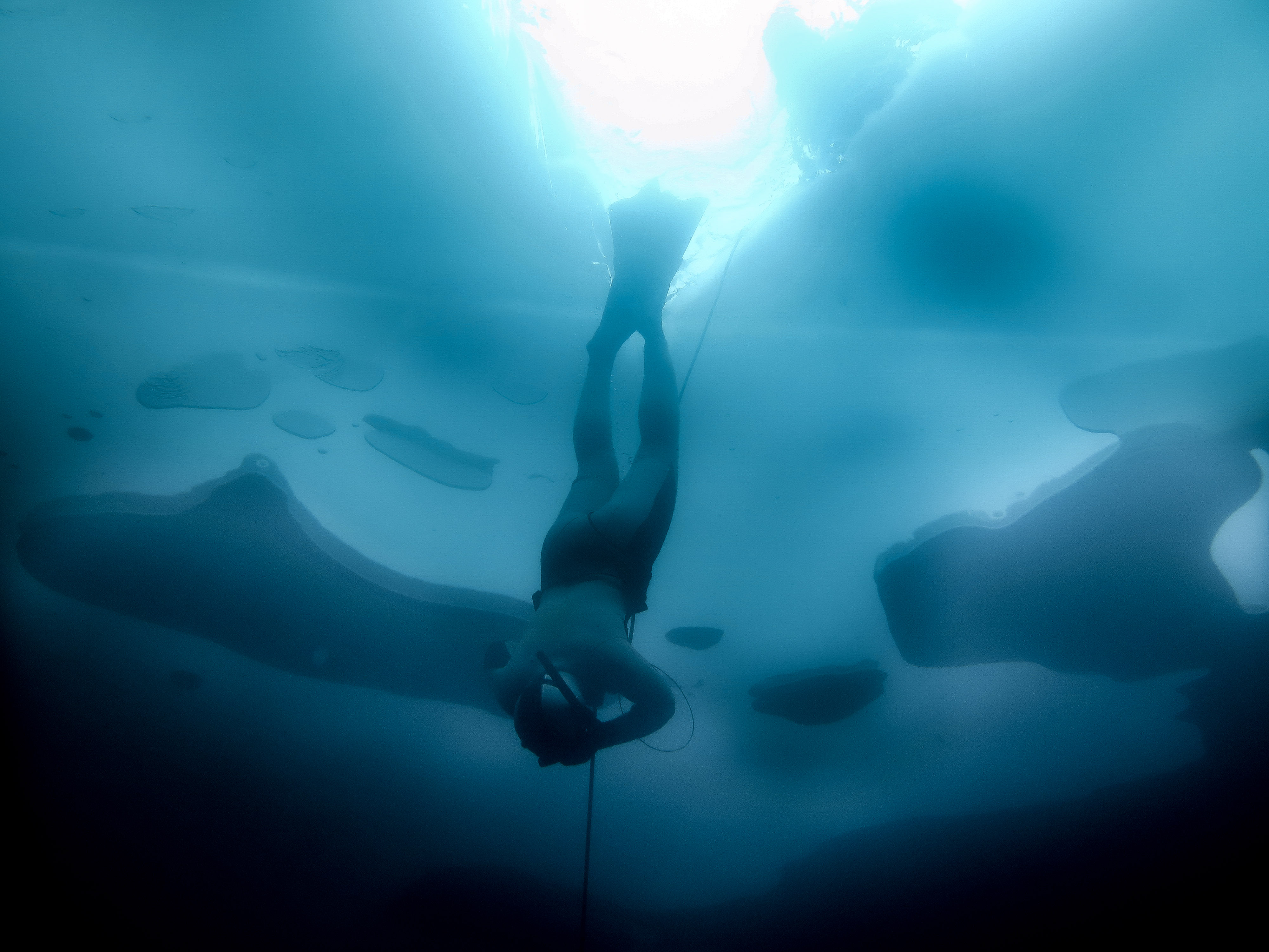 Freediver under ice